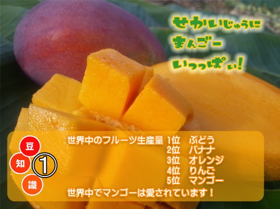 世界中のフルーツ生産量 1位　ぶどう 2位　バナナ 3位　オレンジ 4位　りんご 5位　マンゴー 世界中でマンゴーは愛されています！